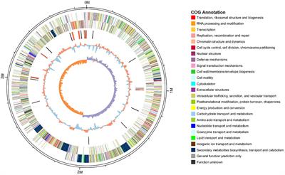 Comparative Genomics Analysis Provides New Strategies for Bacteriostatic Ability of Bacillus velezensis HAB-2